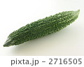 ゴーヤ