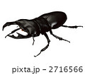クワガタ虫