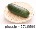 加賀太きゅうり