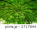 植物用ドーム
