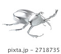 カブト虫