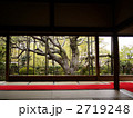 都 大原 宝泉院 額縁庭園 盤桓園 五葉松 