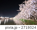 水辺の夜桜 - 弘前公園2011（西濠）
