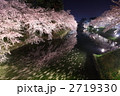 花筏流れる水辺の夜桜 - 弘前公園2011（中堀）