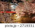 水辺の夜桜 - 弘前公園2011（杉の大橋）