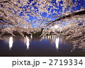 水辺の夜桜 - 弘前公園2011（西濠）