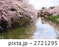 春の桜満開の弘前城公園のお堀