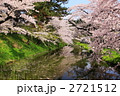 春の桜満開の弘前城公園のお堀