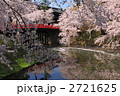春の桜満開の弘前城公園のお堀