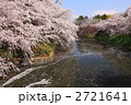 春の桜満開の弘前城公園のお堀