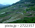 田植えの頃の丸山千枚田