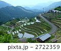 田植えの頃の丸山千枚田