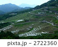 田植えの頃の丸山千枚田