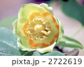 65702