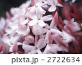 65721