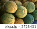 66084
