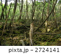 青木ヶ原樹海