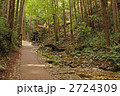 天の岩戸参道と禊滝
