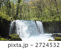 新緑の奥入瀬渓流の滝