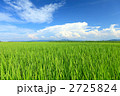 田園風景