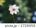 2726958