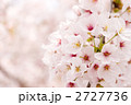 2727736