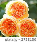 2728130