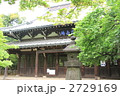 豪徳寺の新緑