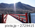 赤城神社啄木鳥橋