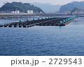 保戸島養殖いかだ