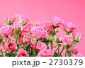 ミニバラ