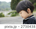 2730438