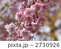 2730926