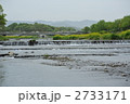 京都　春の鴨川