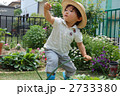 2733380