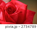 バラ