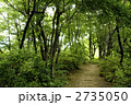 森の遊歩道