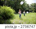 虫取りする子供たち