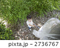 虫取りする子供