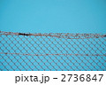 有刺鉄線