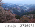 吉野の千本桜