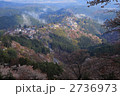 吉野の千本桜