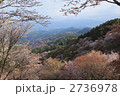 吉野の千本桜