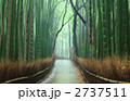 竹林