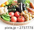 野菜いっぱい！