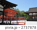 下鴨神社　初夏