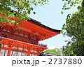 新緑の下鴨神社