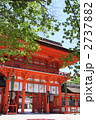 新緑の下鴨神社