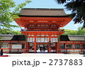 新緑の下鴨神社
