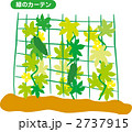 緑のカーテン